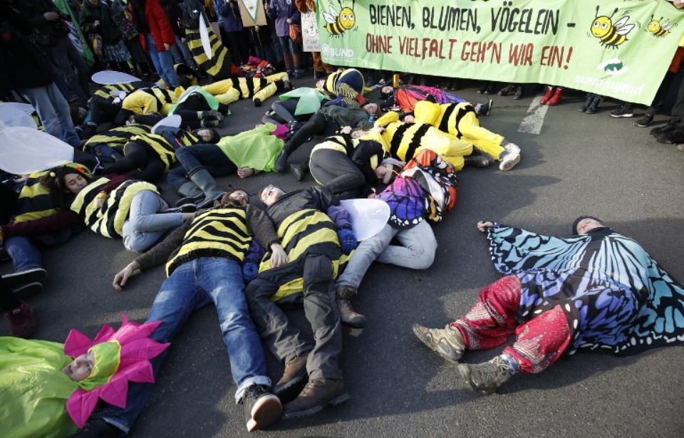 Manifestation pour la défense des insectes, le 19 janvier 2019 à Berlin. Photo Odd ANDERSEN. AFP