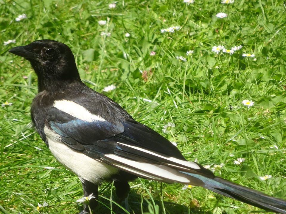 Amiens. 13 Juillet 2020. © Jean-Louis Crimon
