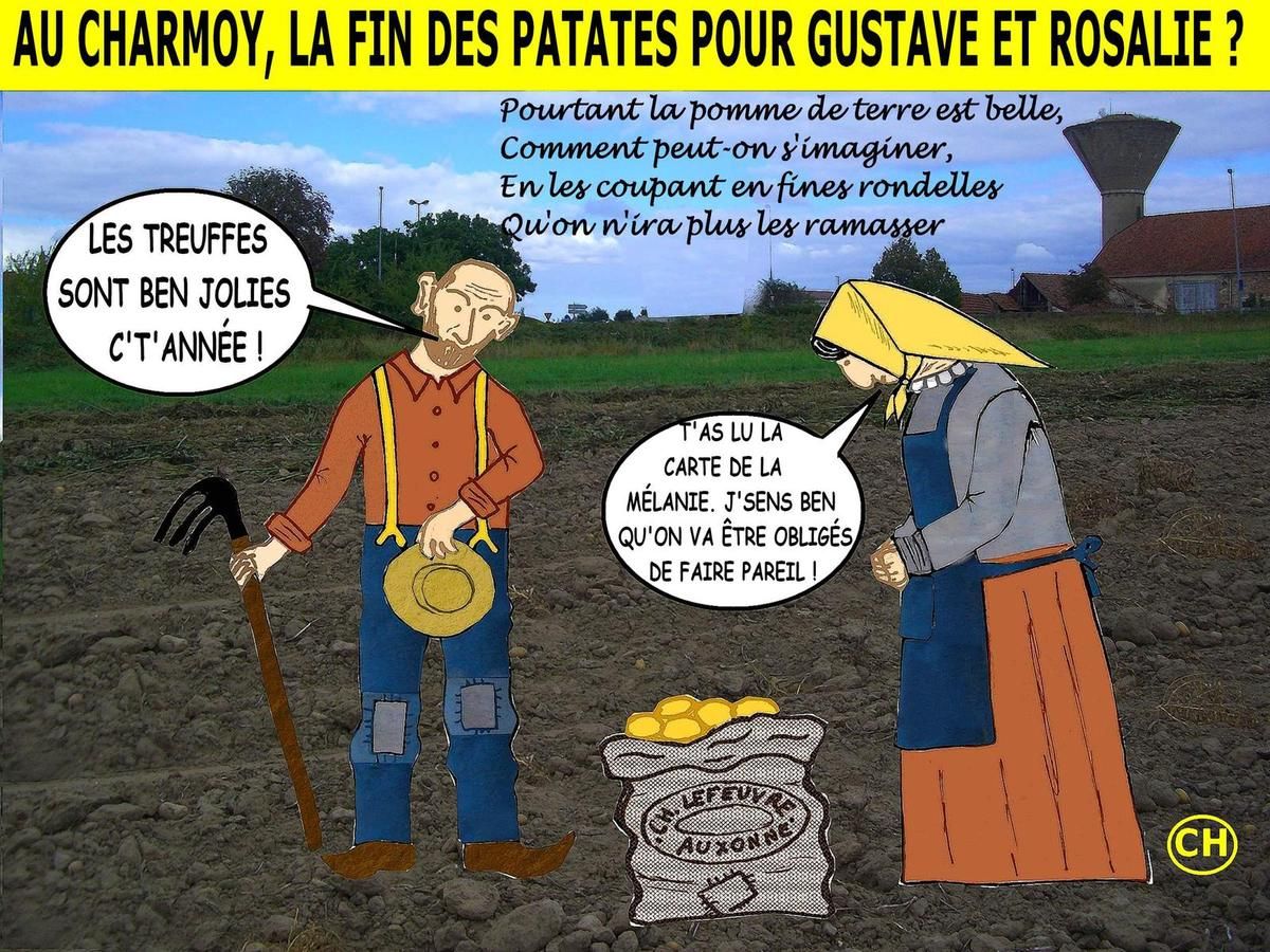 PSC au Charmoy, les Patates Sont Cuites