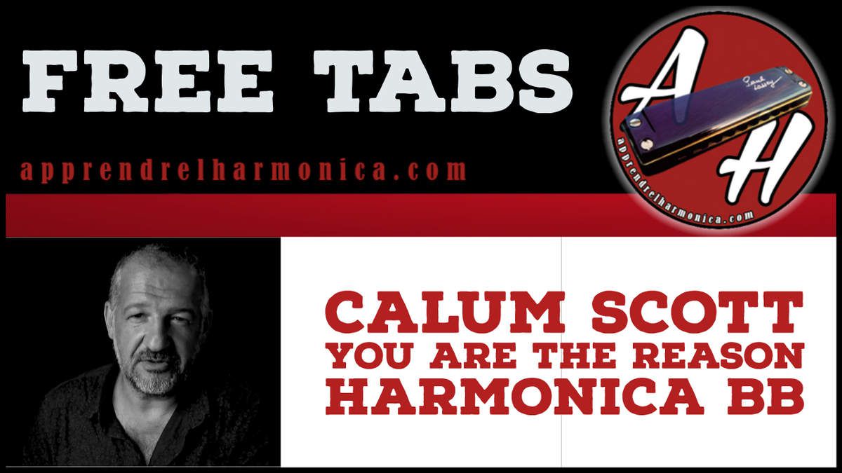 Calum Scott - You Are The Reason - Harmonica Bb