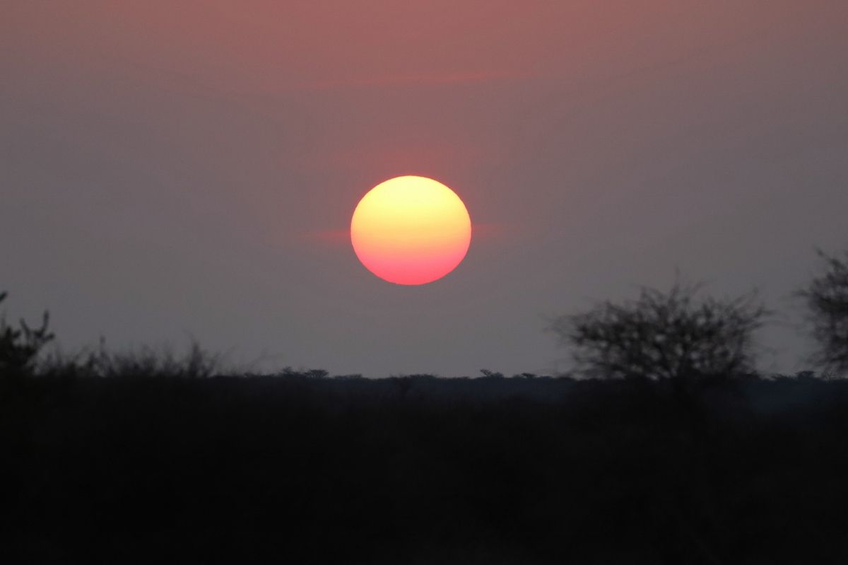 Levers et couchers de soleil à Okonjima - Namibie