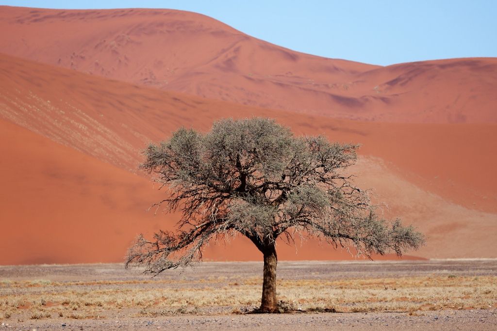 Désert Sossusvlei Namibie