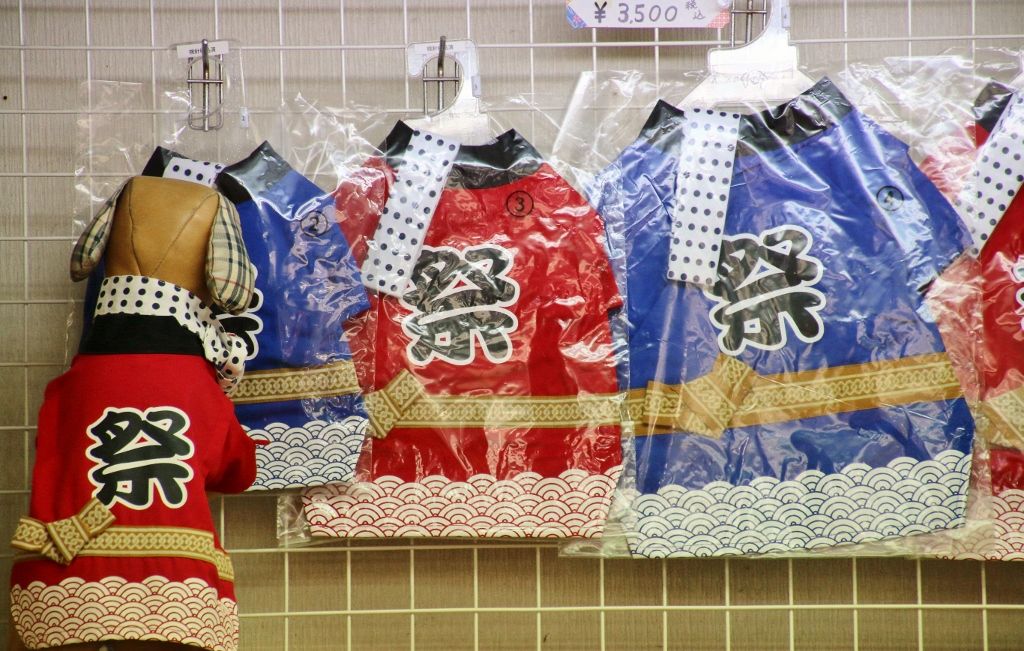 Chat porte bonheur , shopping pour chien