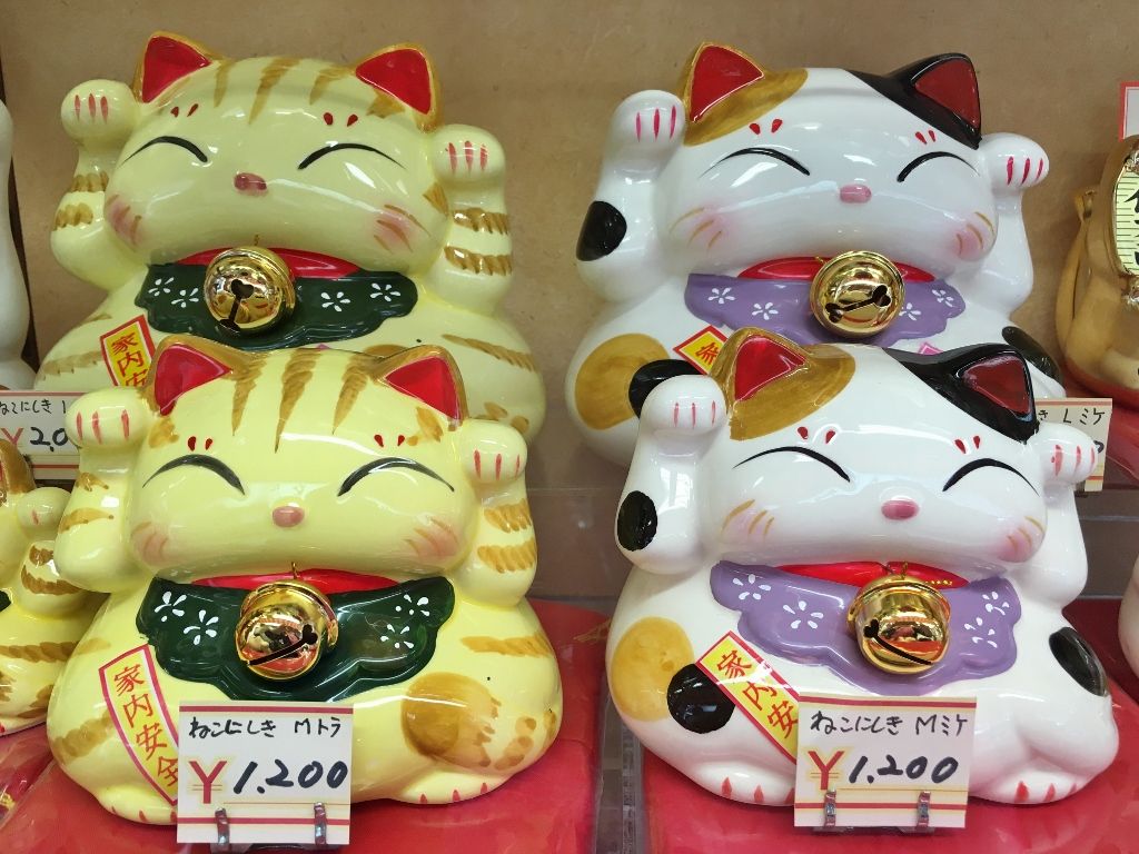 Chat porte bonheur , shopping pour chien