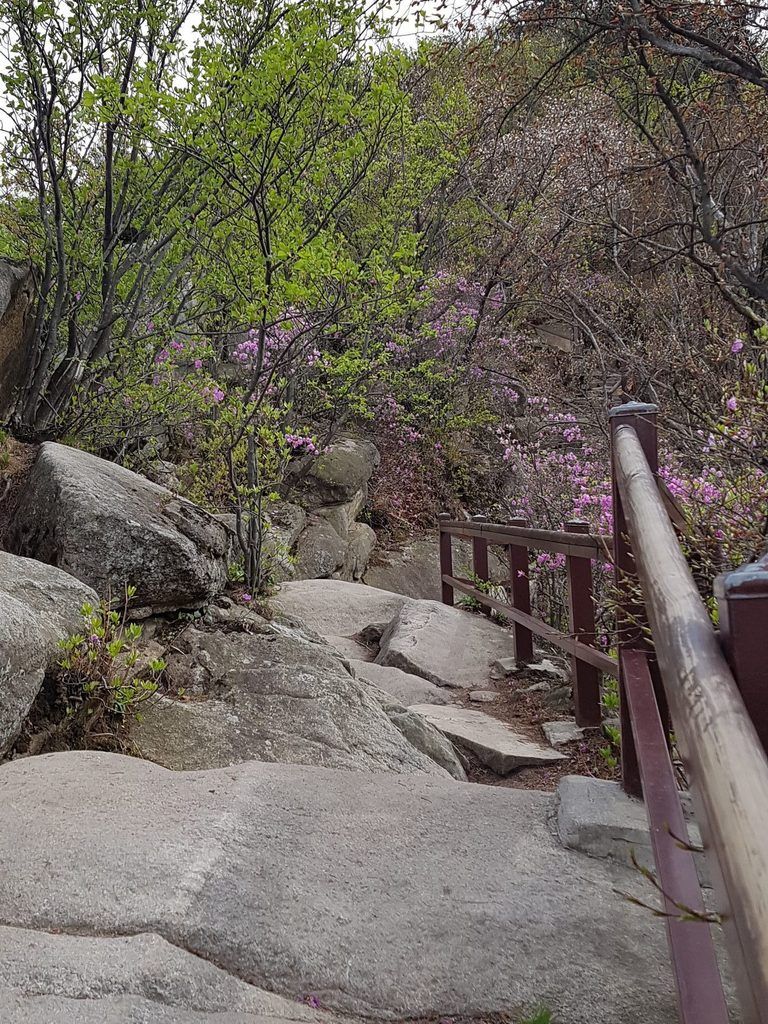 manisan, ganghwado, incheon, corée du sud, korea, asie, randonnée, montagne