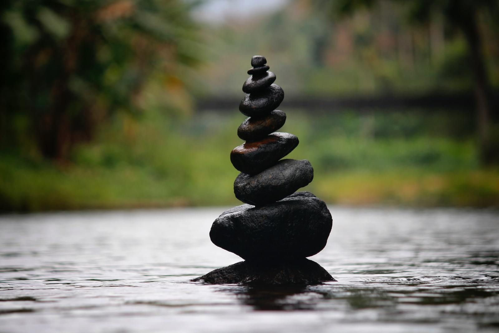 zen, l'art subtil de s'en foutre, développement personnel, bonheur, humour, mark manson, blogueur, américain, blog