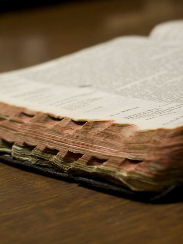 bible