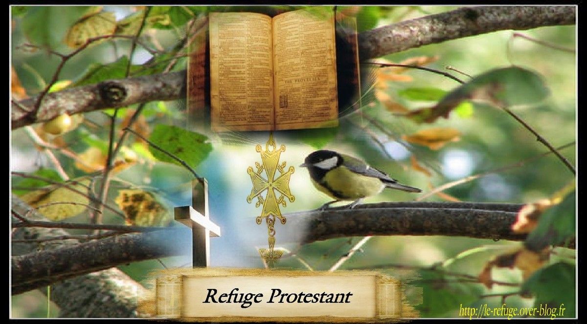 Psaume 119 (Puisque Tu m'as donné l'espérance ! C'est ma Consolation dans ma misère, car Ta Promesse me rend la Vie.)