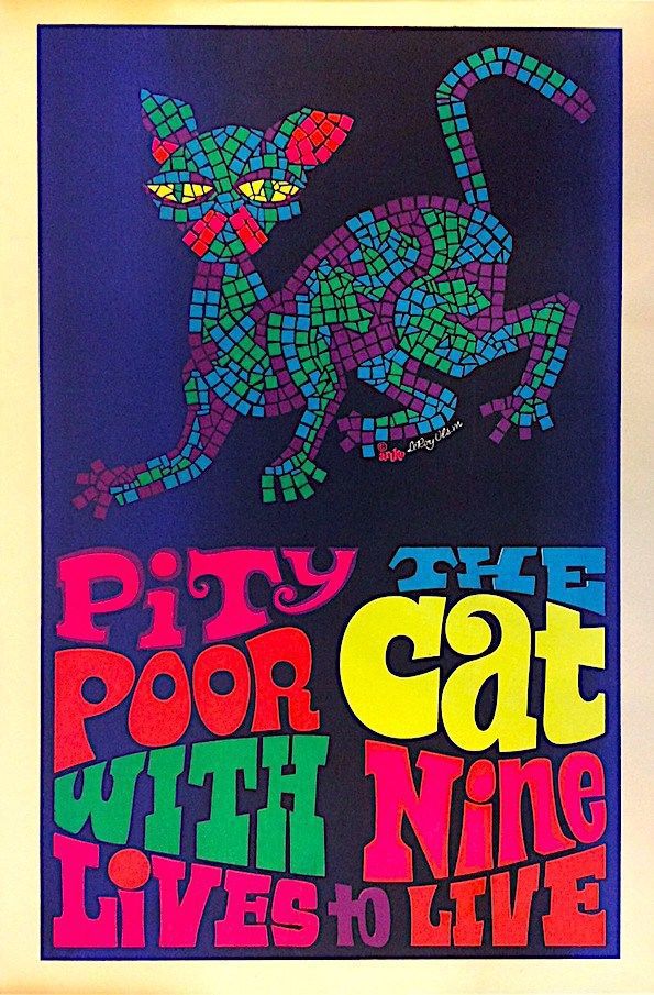 Pity the poor cat with nine lives to live