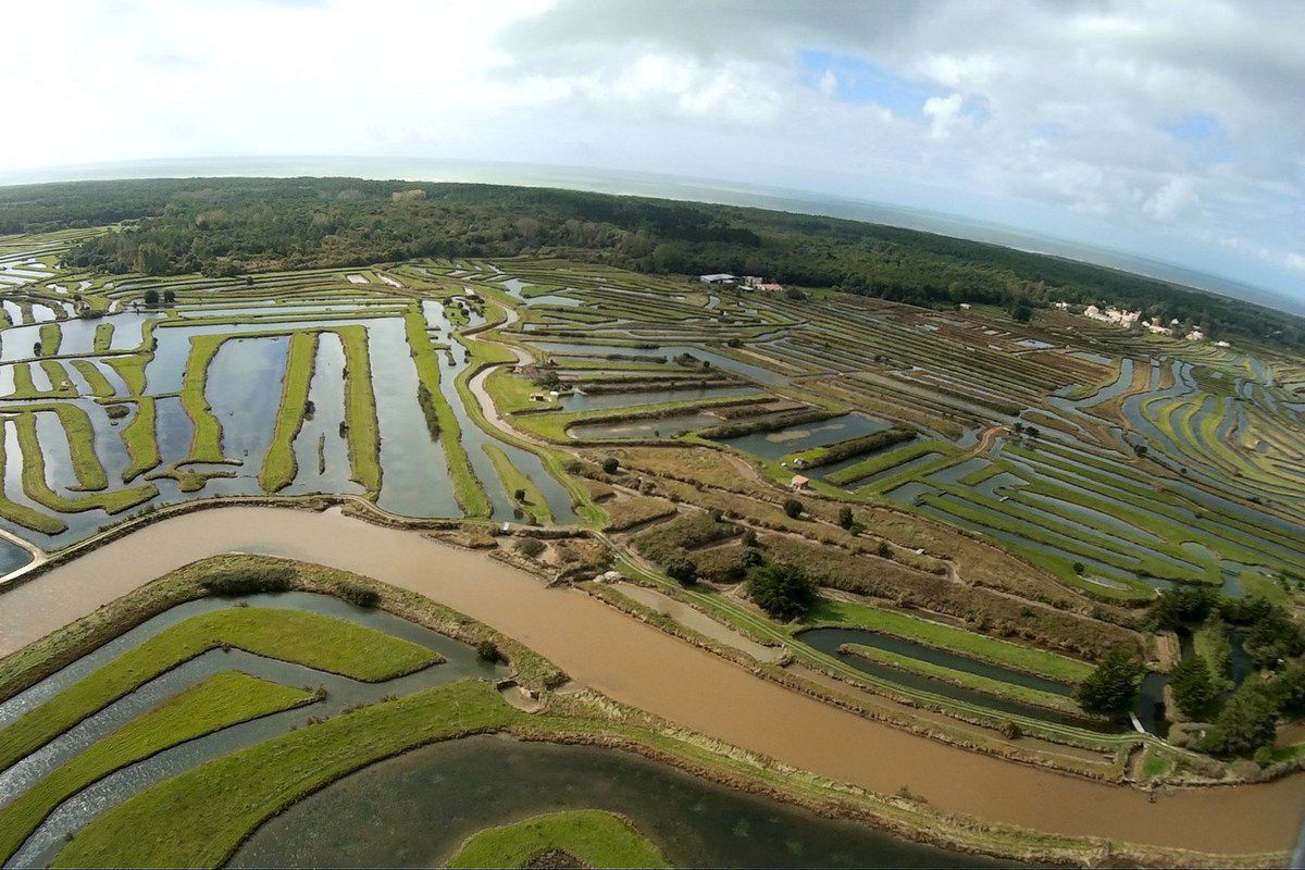 Photos aériennes des marais de l'île d'Olonne