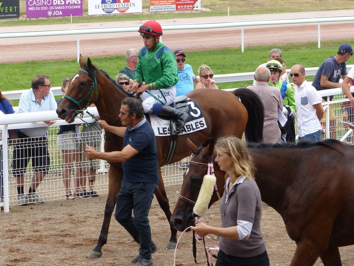 Courses à l'Hippodrome des Sables d'Olonne Courses à l'Hippodrome des Sables d'Olonne