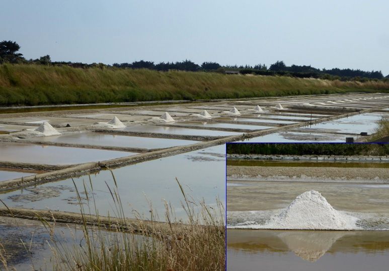 Production de sel 2018 dans les marais de l'ïle d'Olonne