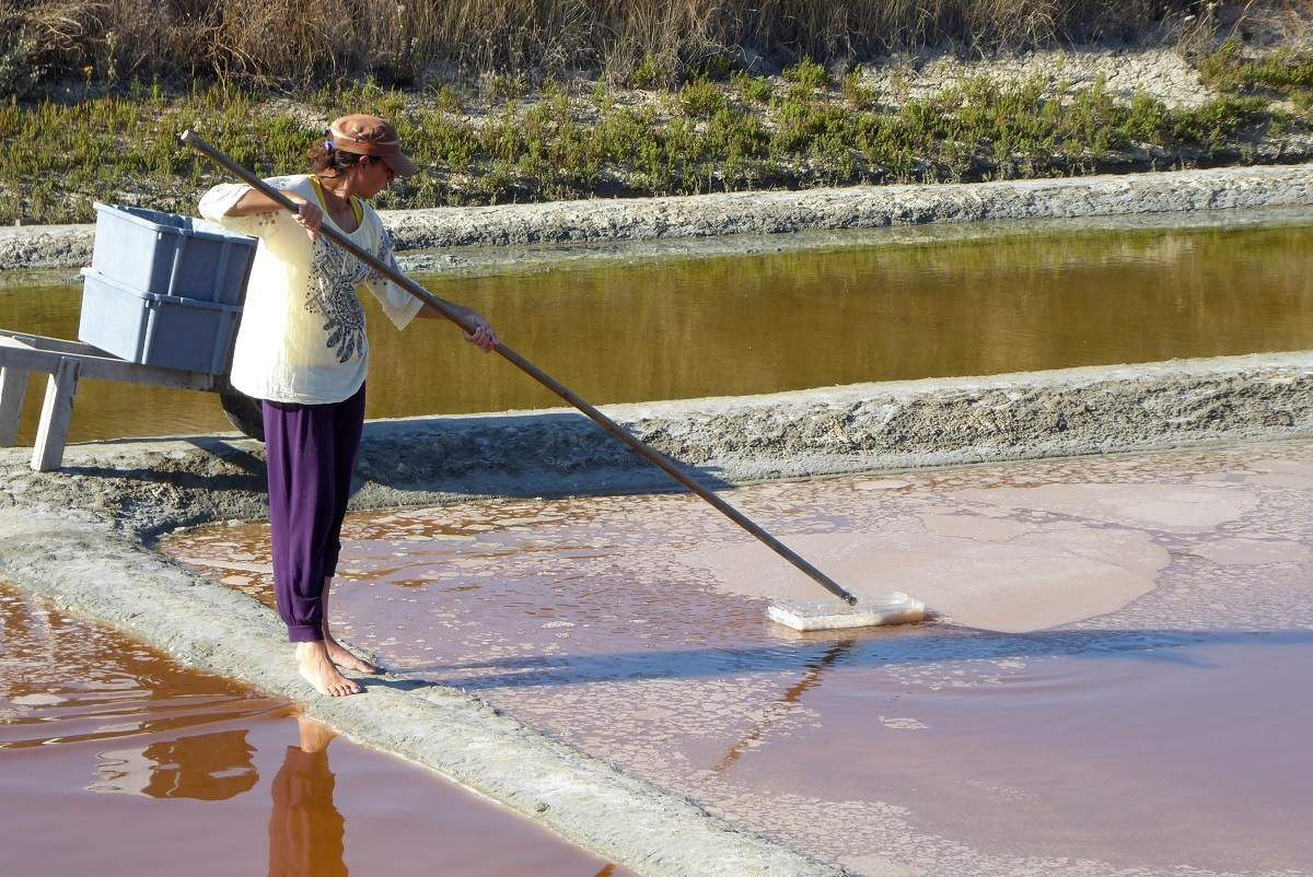 Fleur de Sel dans les marais de l'Île d'Olonne