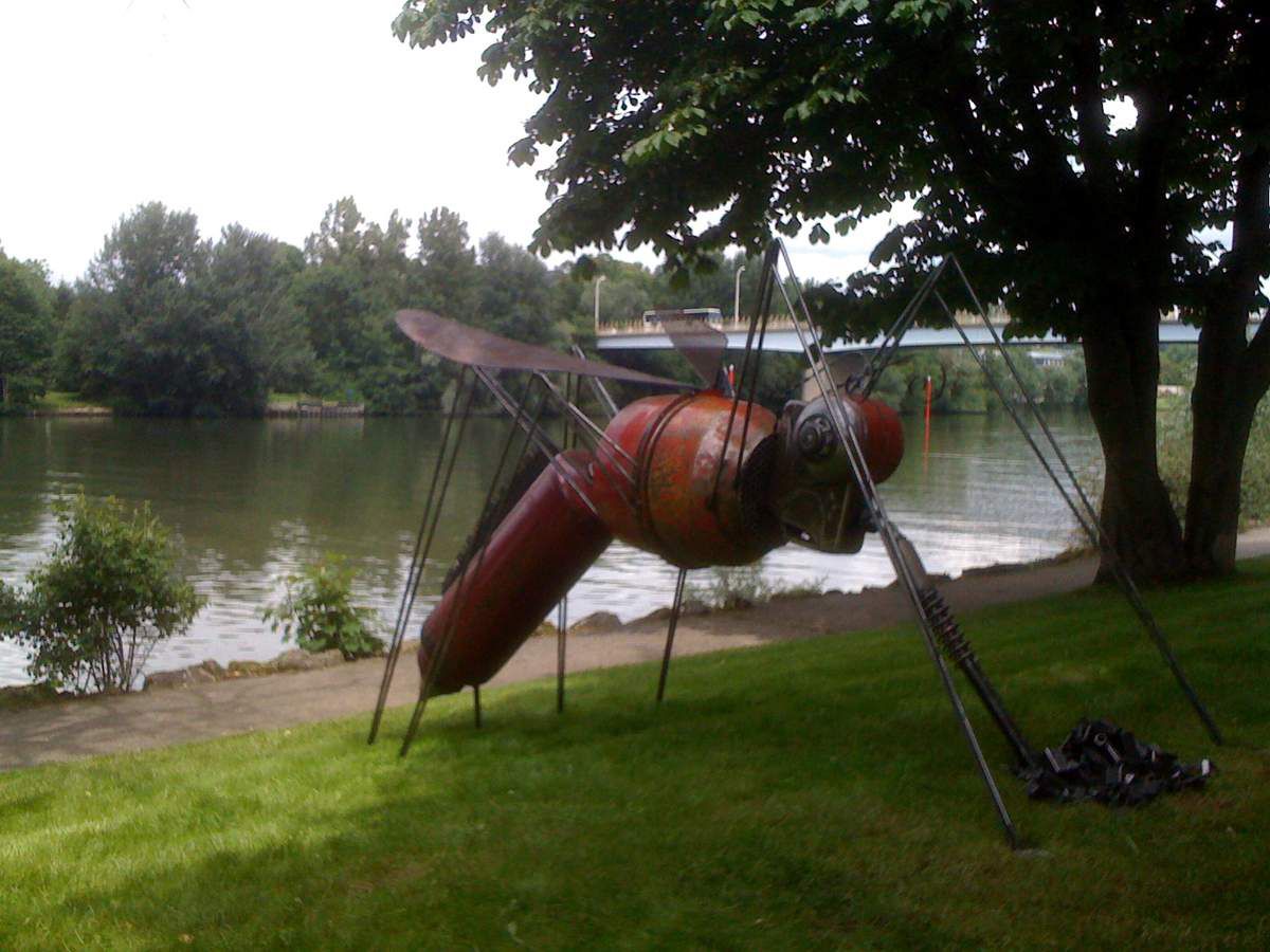 S.ROZAND - Le moustique