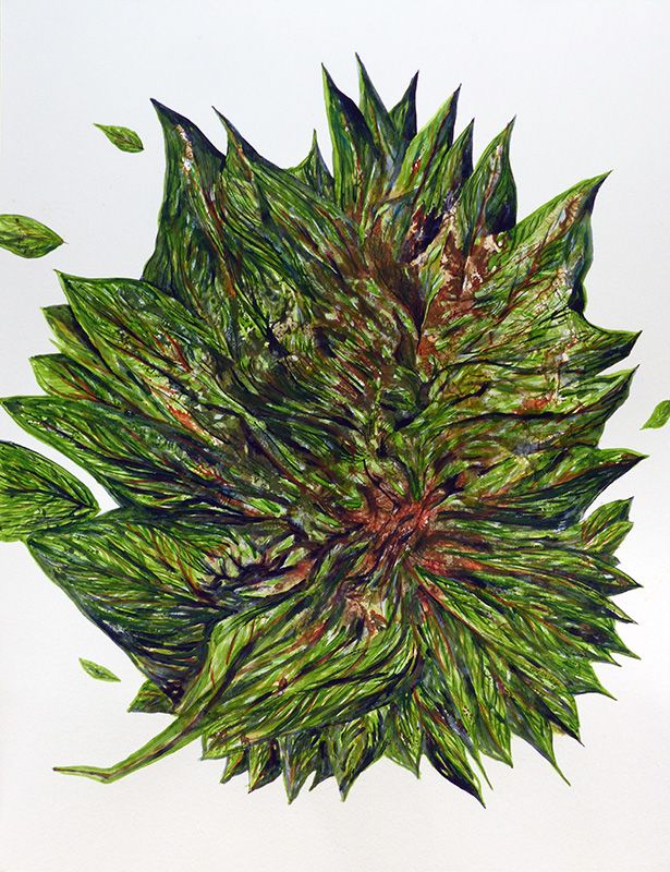 La flore de l'Ile de Pré Britenne