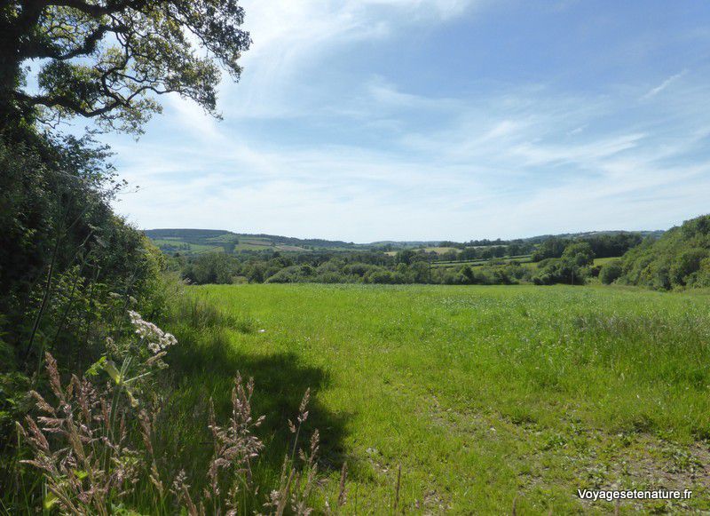 En route pour l'Irlande...