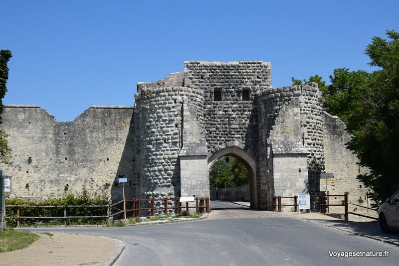 Balade dans Provins (77) - Voyages et Nature