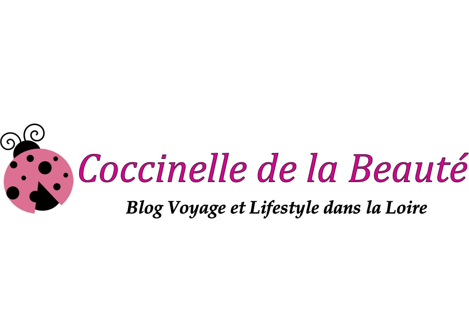 Coccinelle de la Beauté