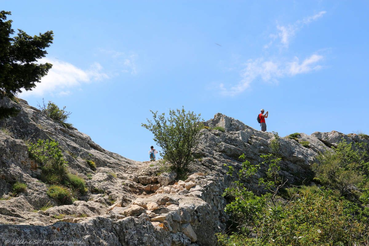Provence incontournable: une randonnée remplie de magie dans la forêt sacrée de la Sainte Baume