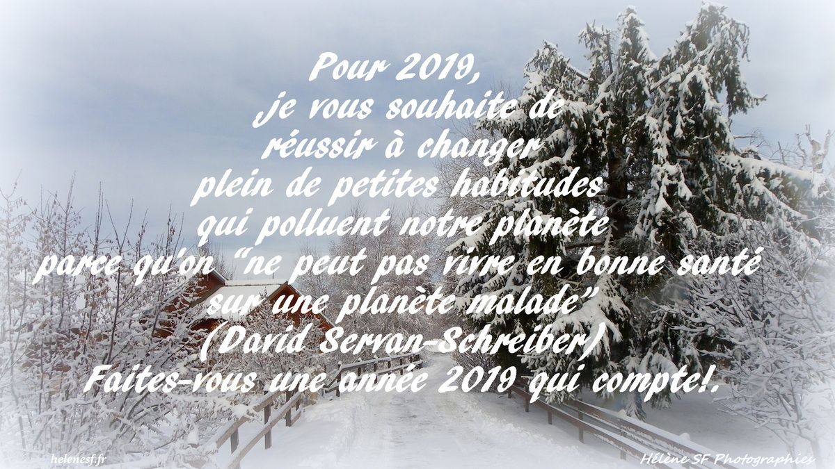 Carte de voeux gratuite bonne annee 2019 – Faire part mariage