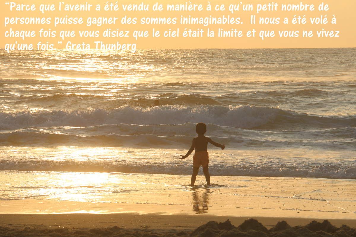 Petition Pour Une Constitution Ecologique Helene Sf
