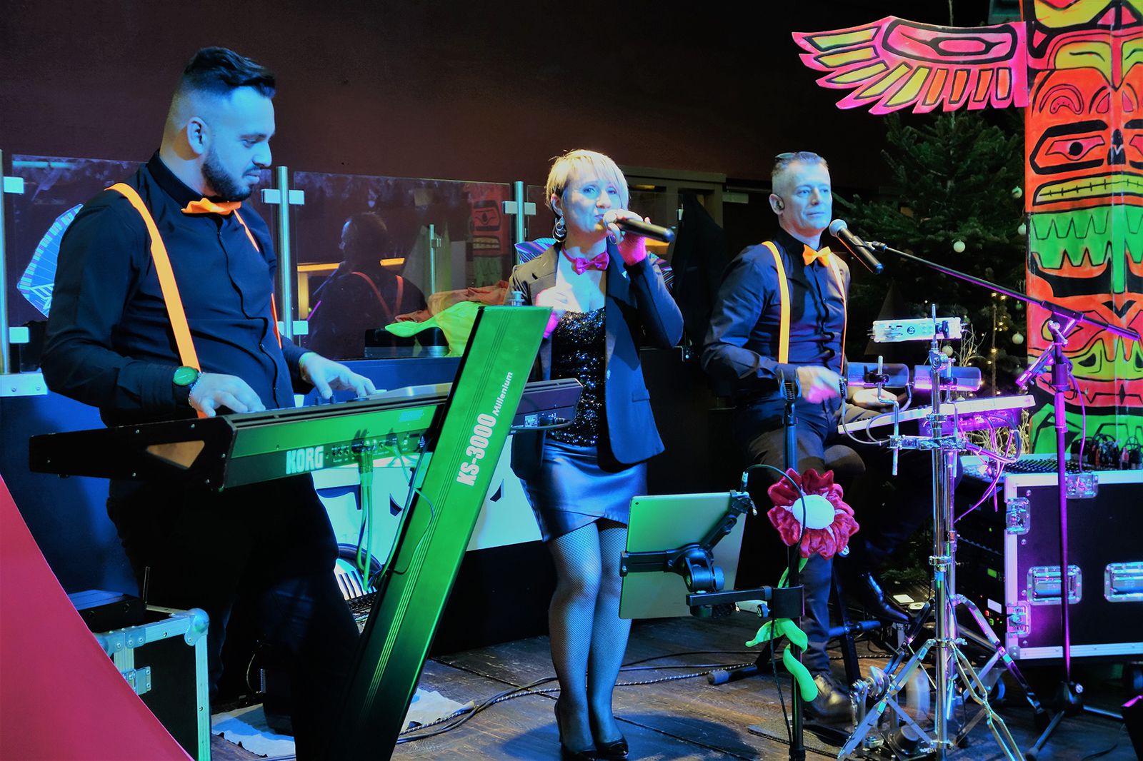 Musicien chanteur Perpignan