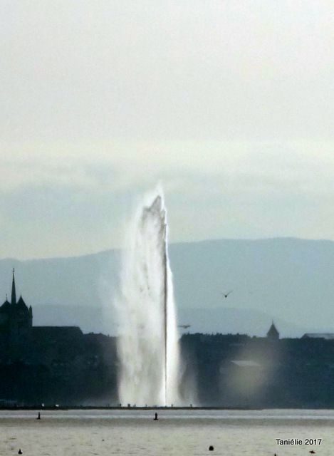 le jet d'eau de Genève