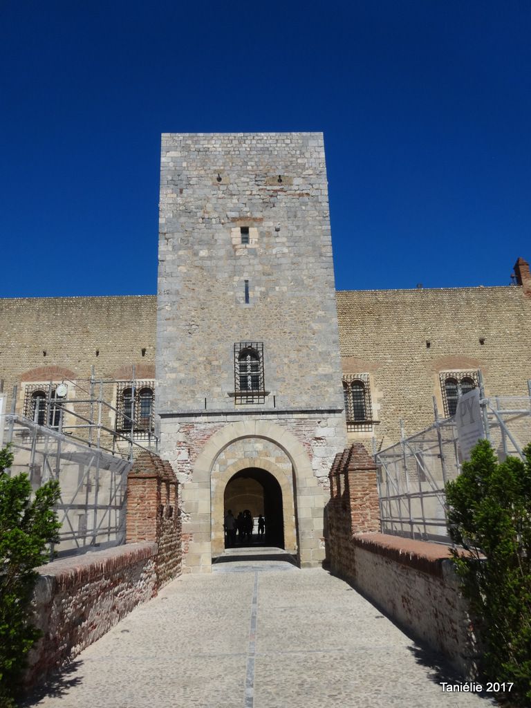 Tour de l'hommage Palais des rois de Mallorca