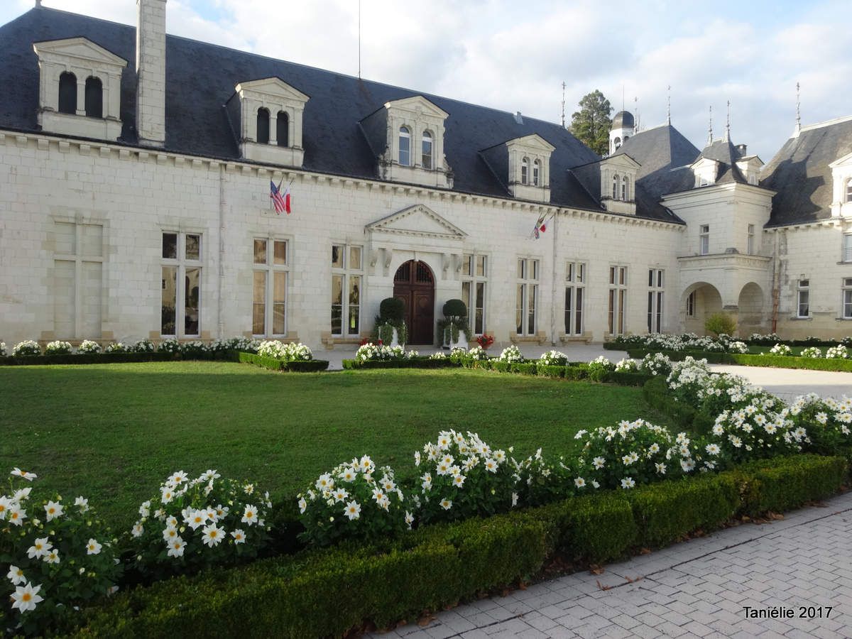 Chateau de hampigny-sur-Veude 37