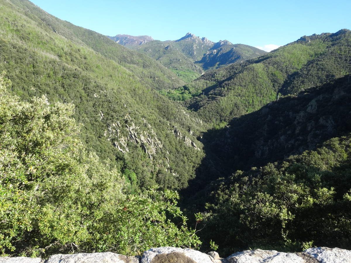 La vallée du Mondony