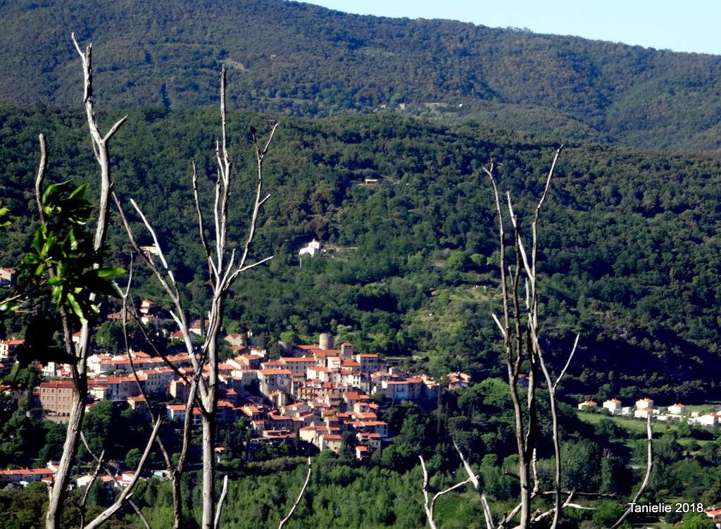 Palada