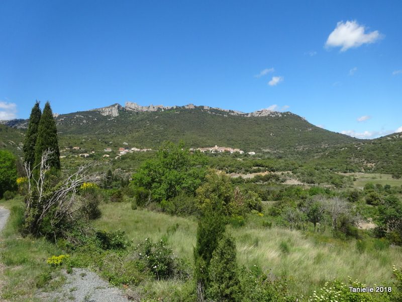 Le château de Peyrepertuse