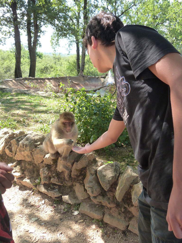 Fôret des singes, Rocamadour, septembre 2015 : Harouna, Larry, Marouane, Nicolas