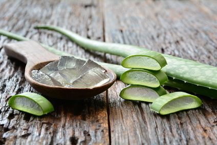 Plante mythique et reconnue pour ses vertus naturelles sur la peau et les cheveux, l'aloé vera lisse et participe à la beauté de cheveux de manière exceptionnelle. La synergie de l'aloé véra et du tournesol agit comme nourrissant. Idéale en masque capillaire en cas de cheveux secs.