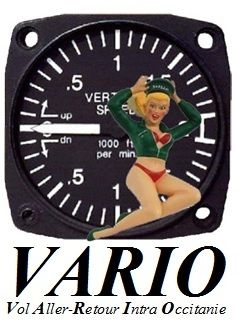 Le logo officiel VARIO