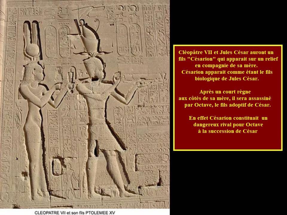 Face à face Nefertiti Cléopâtre