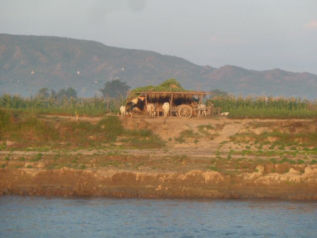 J5 - Descente de l'Irrawaddy