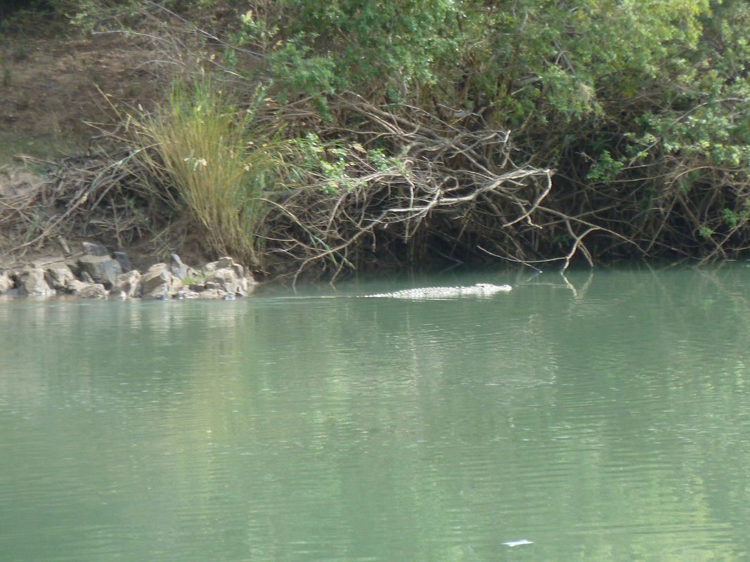 J20 – Mercredi 1er août 2012 – Epupa Falls – A la recherche des crocos…