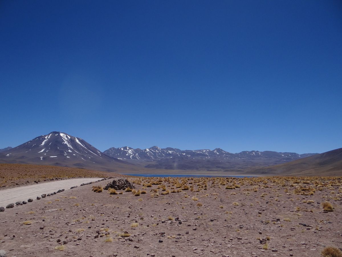 Voyage au Chili en 2013. 1ère partie San Pédro Atacama. Chanaral. Valparaiso. Pucon