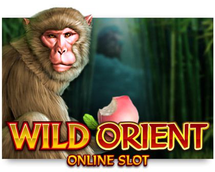 Machine à sous Tiger vs Bear gratuit dans Microgaming casino Machine à sous Tiger vs Bear gratuit dans Microgaming casino