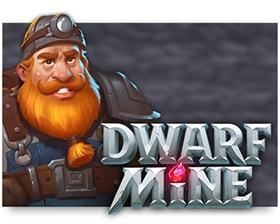 machine a sous Dwarf Mine logiciel Yggdrasil