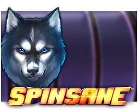 machine a sous Spinsane logiciel NetEnt