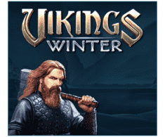 machine a sous Vikings Winter logiciel Booongo