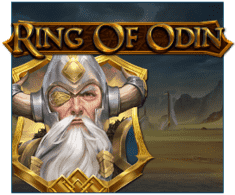 machine a sous Ring of Odin logiciel Play'n Go