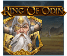 machine a sous en ligne Ring of Odin logiciel Play'n Go
