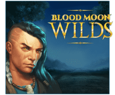 machine a sous Blood Moon Wilds logiciel Yggdrasil