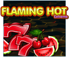machine a sous Flaming Hot Extreme logiciel EGT