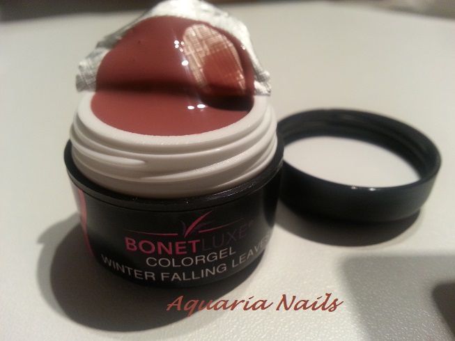 gel couleur ongle 24