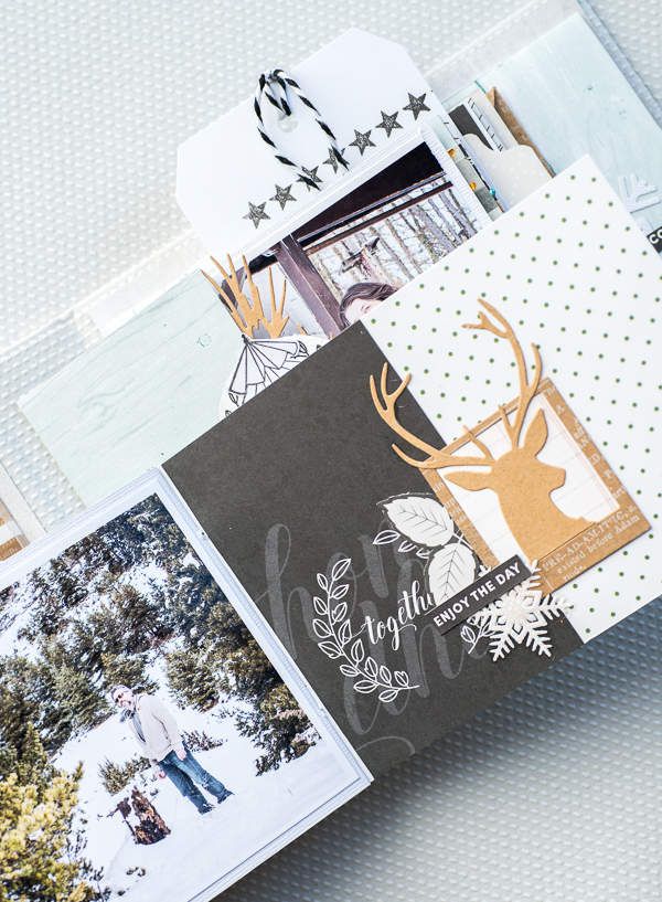 Album Snowflakes, l'intégrale et kits