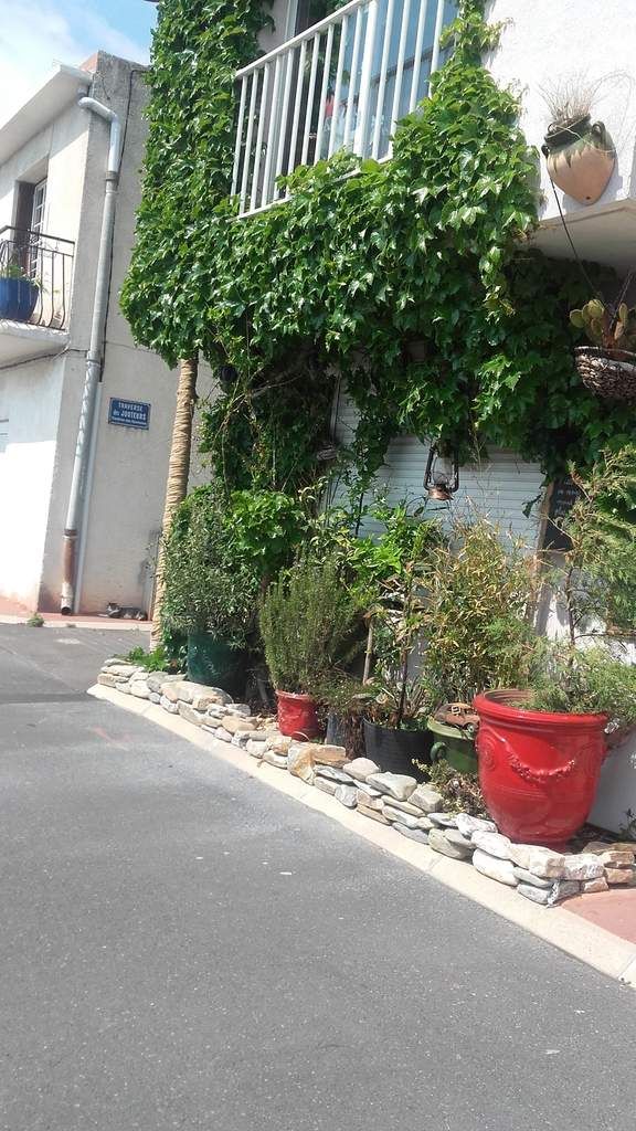Autres photos de Sète